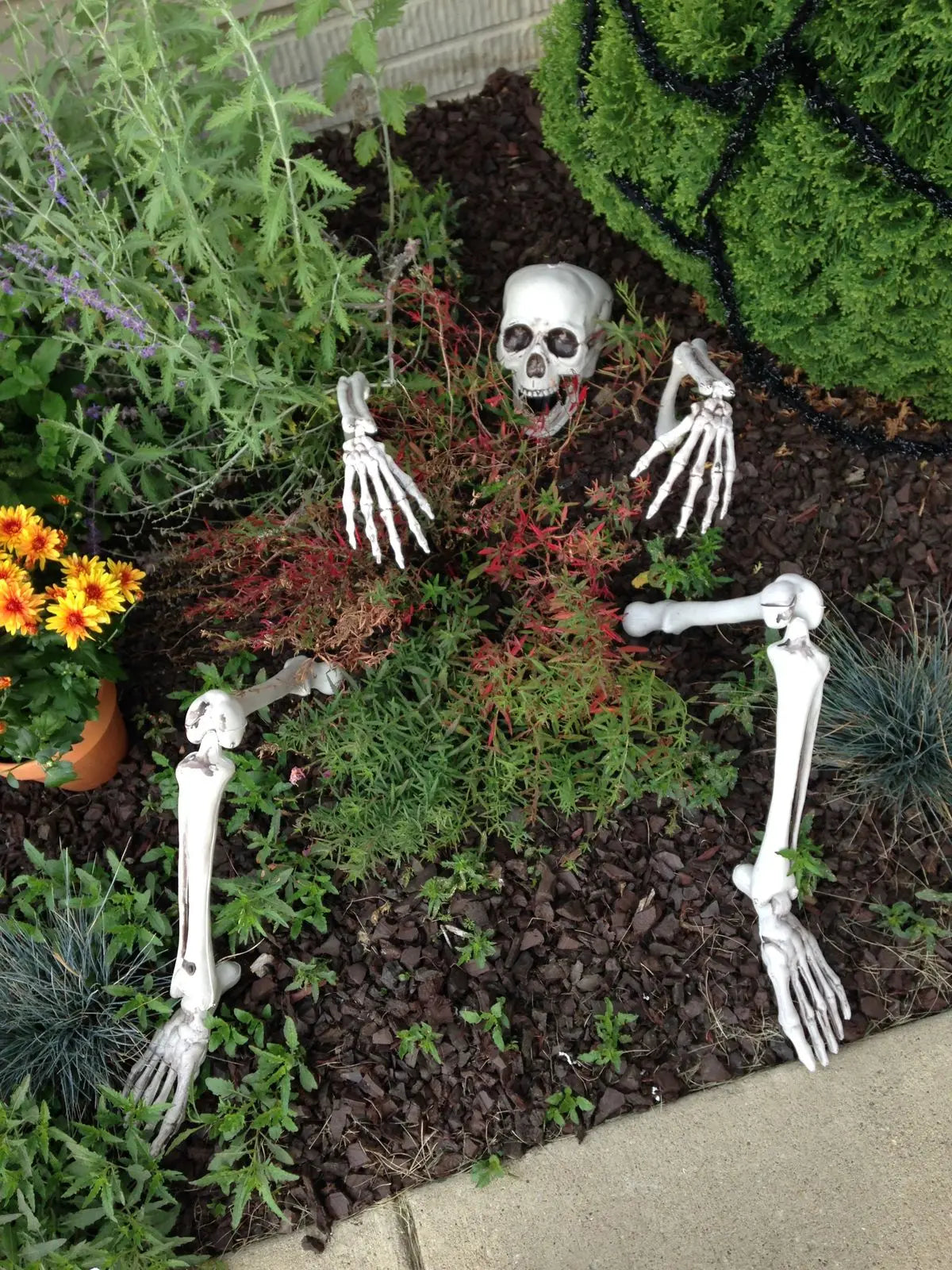 GraveGrasp™: Realistic Skeleton Lawn Stakes