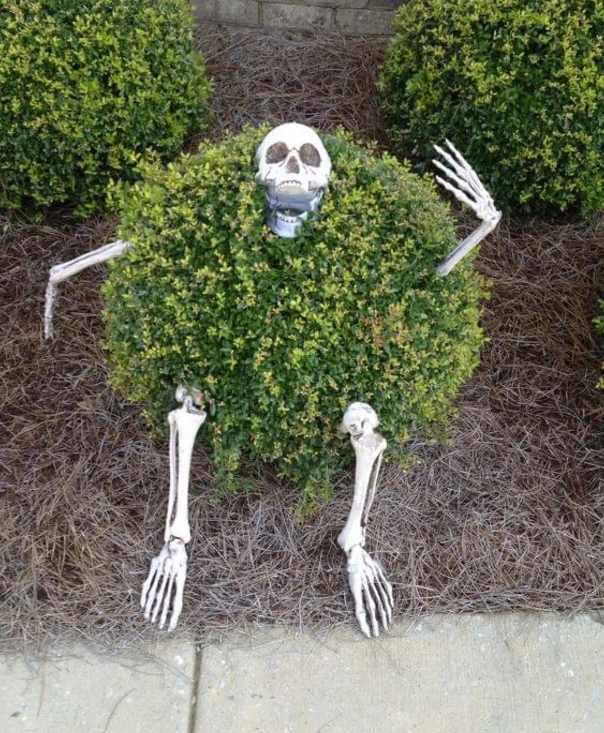 GraveGrasp™: Realistic Skeleton Lawn Stakes